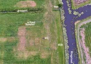 De locatie van bouhuijs Berkhout. Links de Ringsloot en rechts het pestbosje. (Foto: Jan van der Voet, 2022.)