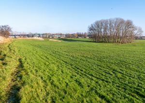Dronefoto van de plek van Bouhuijs Berkhout. Deen Boogerd ontdekte de verkleuring in het gras. Het blijken sporen van de boerderij. De boerderij lag aan de Ringsloot, ter hoogte van de Stalensloot (rechts). (Fotograaf onbekend, 2018.)