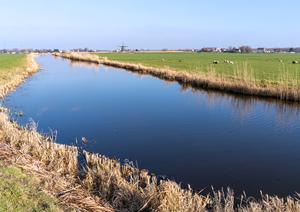 De Ringsloot op de grens van Lisse en Sassenheim (achter ons ligt Sassenheim, voor ons Lisse). De grens loopt niet langs de Ringsloot, maar dwars door het landschap. Dat was al zo toen de polder vóór 1624 nog water was. Links ligt de Poelpolder, rechts aan de andere kant van het water de Hellegatspolder. (Foto: Jan van der Voet, 2023.)