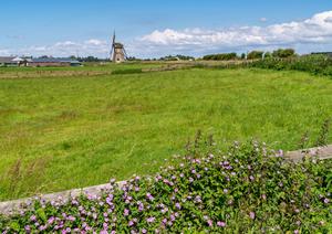 De Hellegatsdam loopt rechts op de foto van de Lisserpoelmolen naar de 3e Poellaan. (Foto: Jan van der Voet, 2024.)