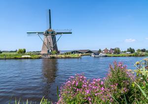 De Lisserpoelmolen, gezien vanaf de Lisserdijk. De oude molen springt bij veel wateroverlast nog wel eens bij. (Foto: Jan van der Voet, 2024.)