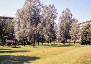Een groot twistpunt bij het bouwen van Poelpolder-Zuid was het doortrekken van de Ruishornlaan tussen de flats van de Ooievaarstraat en het Rembrandtplein. (Foto: Jan van der Voet, 1987.)