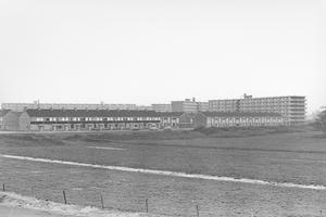 De Patrijsstraat, gefotografeerd vanaf  Uitermeer. (Noord-Hollands Archief, collectie Fotopersbureau De Boer, 1969.)