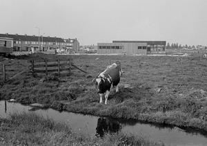Het Ontmoetingscentrum Poelpolder. Links de Ruishornlaan. (Noord-Hollands Archief, collectie Fotopersbureau De Boer, 1971.)