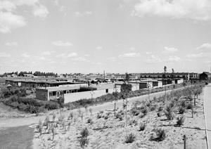 Het patiopark aan de Poelwaai en Poelwaaidreef. De foto is genomen vanaf de Uitermeer, dicht bij de brug over de Ringsloot. (Noord-Hollands Archief, collectie Fotopersbureau De Boer, 1971.)